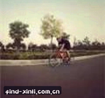 赵宇